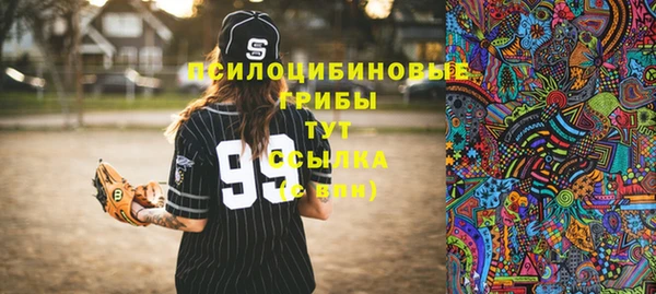 таблы Лабытнанги