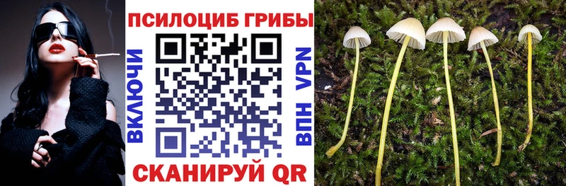ОМГ ОМГ ссылка  наркота  Стародуб  Галлюциногенные грибы мухоморы 
